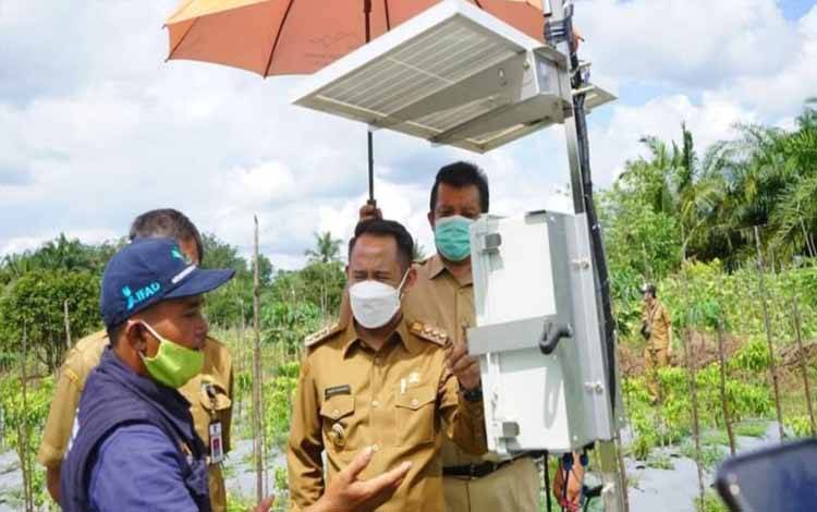 Kelompok Tani di Kecamatan Bukit Batu Terapkan Smart Farming