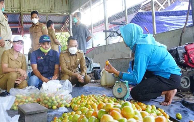Modal Jadi Salah Satu Kendala Petani, Wali Kota Palangka Raya Tawarkan Solusi Ini