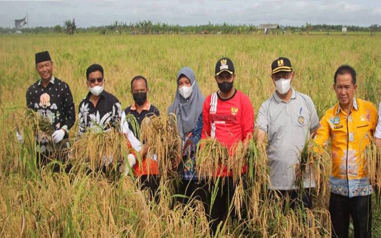 Maksimalkan Lahan Pertanian, Desa Sei Pasir Ajak Petani Tetangga Ikut Bertani