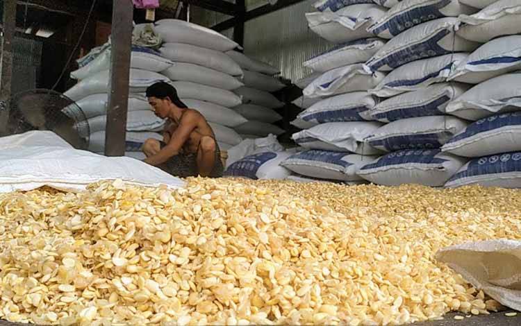 Wakil Ketua MPR Minta Pemerintah Serius soal Kemandirian Kedelai