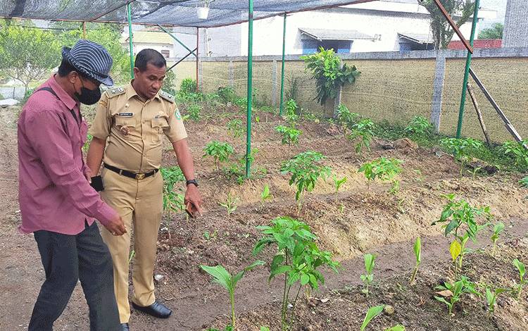 Distan Kotim Diminta Lebih Giat Kembangkan Sektor Pertanian Sayuran