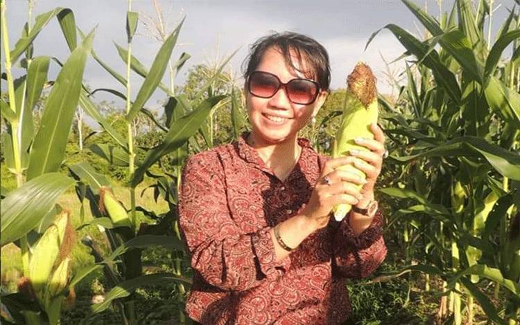 Dewan Dorong Pemda Kembangkan Sistem Pertanian Terpadu di Kalteng