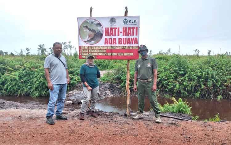 Diperkirakan Ada 3 Ekor Buaya Berkeliaran di Parit HGU Perusahaan Sawit Bagendang