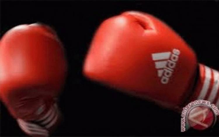Gonzalez Siap Hadapi Cain pada Laga Eliminator Kelas Bantam WBC