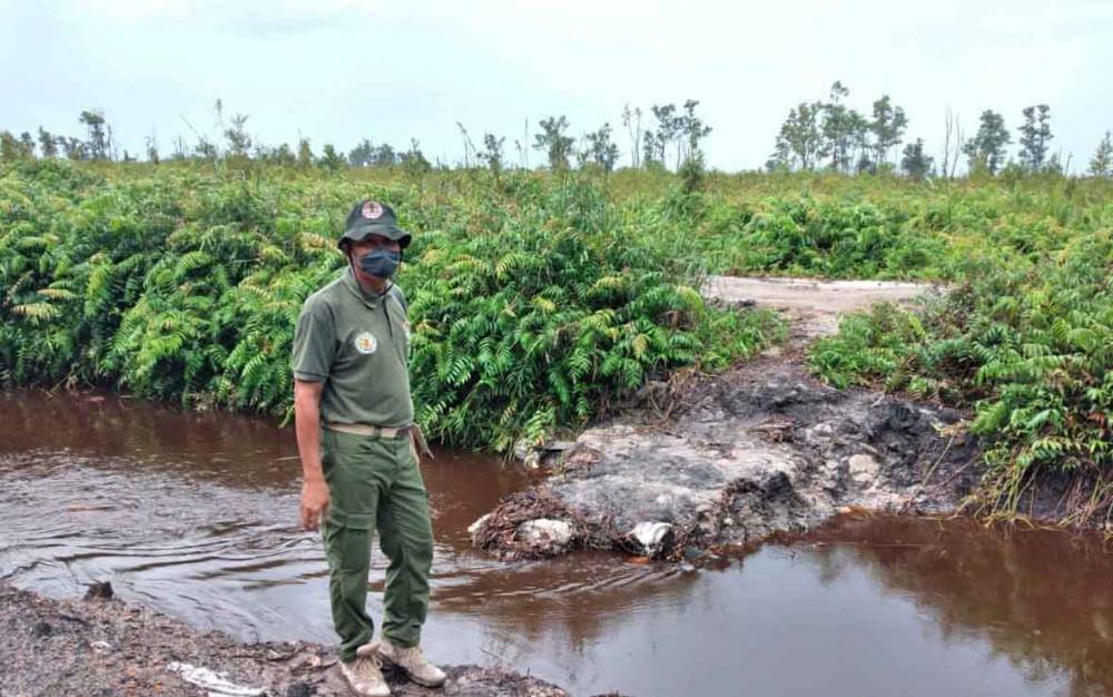 Teka-teki Penyebab Masuknya Buaya ke Aliran Parit HGU di Bagendang Belum Terpecahkan
