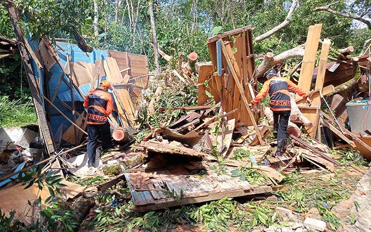 Ketua RT Minta Pemerintah Daerah Bantu Warga yang Rumahnya Hancur Tertimpa Pohon