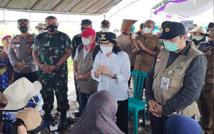 Demplot Percontohan Mulya Sari Pulpis Capai 8 Ton per Hektare