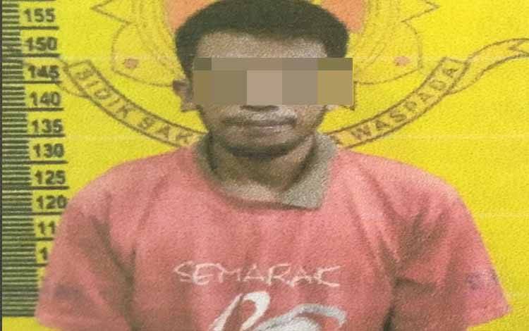 Sudah Pernah 2 Kali Sebelum Ditangkap Mencuri Sawit di Areal Gapoktanhut Bagendang Raya