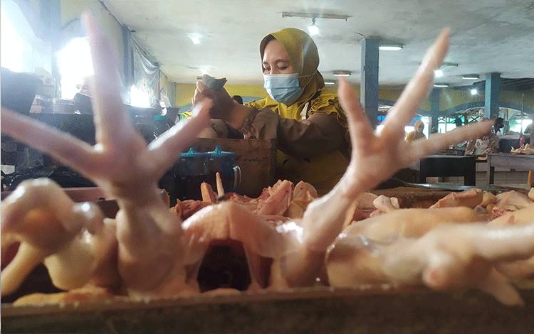 Harga Daging Ayam Ras di Kobar Berangsur Turun, Lainnya Stabil