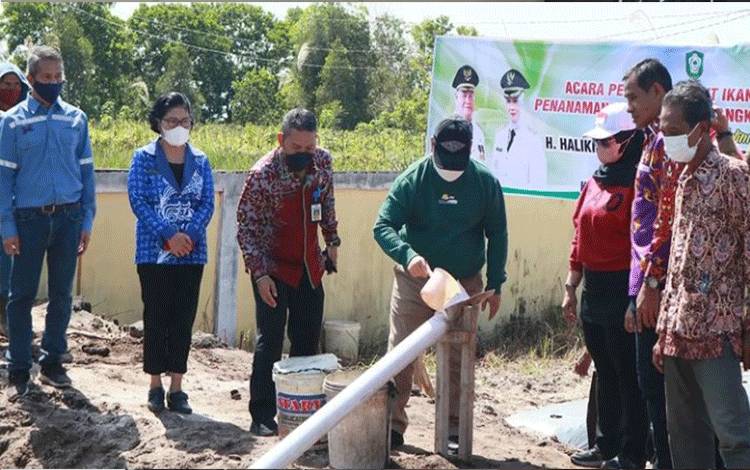 Bupati Kotim Tabur Bibit Patin Sebagai Percontohan