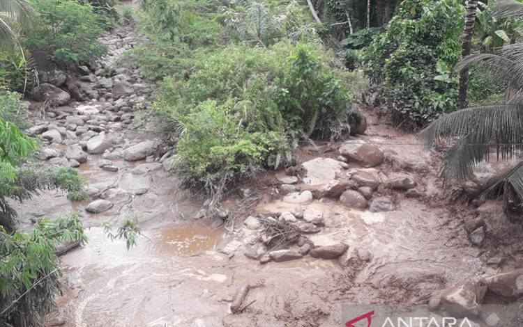 Air Sungai Batang Nango Kajai Kecamatan Talamau Kabupaten Pasaman Barat, Sumbar mengalami fenomena alam kering, berlumpur dan dipenuhi material potongan kayu, Sabtu (26/2). (Antara/Altas Maulana)