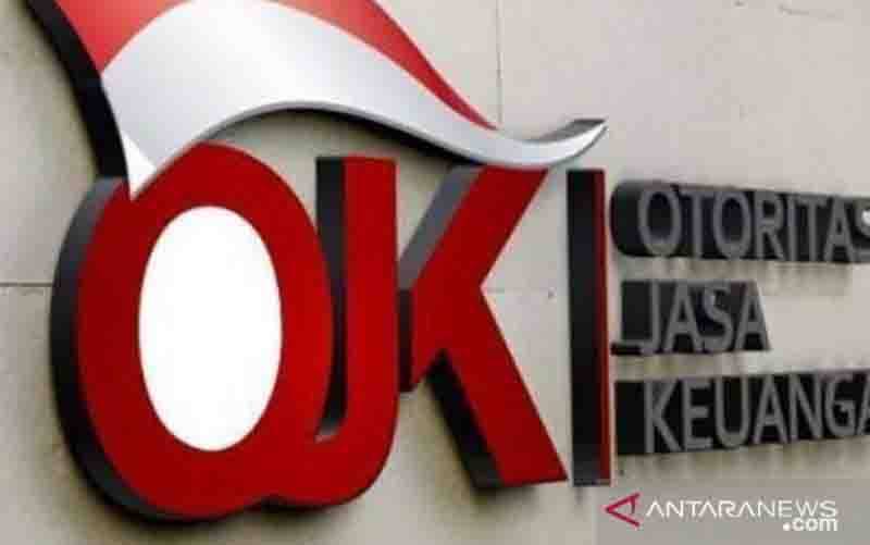Ekonom Soroti Calon Anggota DK OJK yang Berasal dari Kalangan Industri