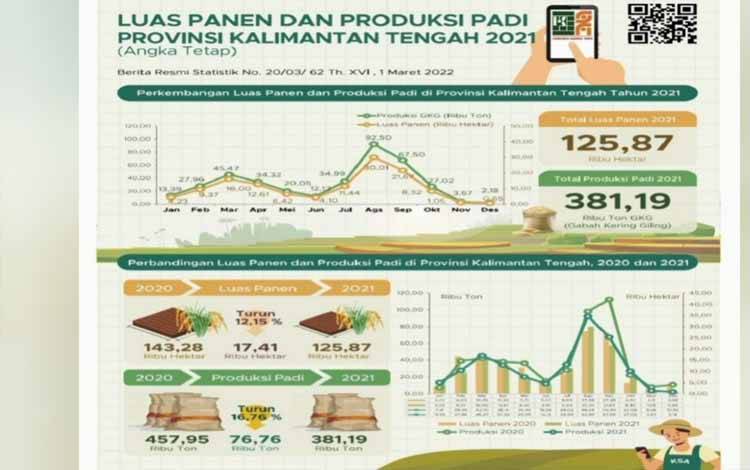 Panen Padi di Kalteng Selama 2021 Turun 12,15 Persen