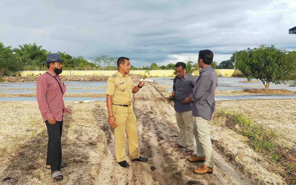 Halikinnor Apresiasi Program Sekolah Lapang Pertanian di Kelurahan Pasir Putih
