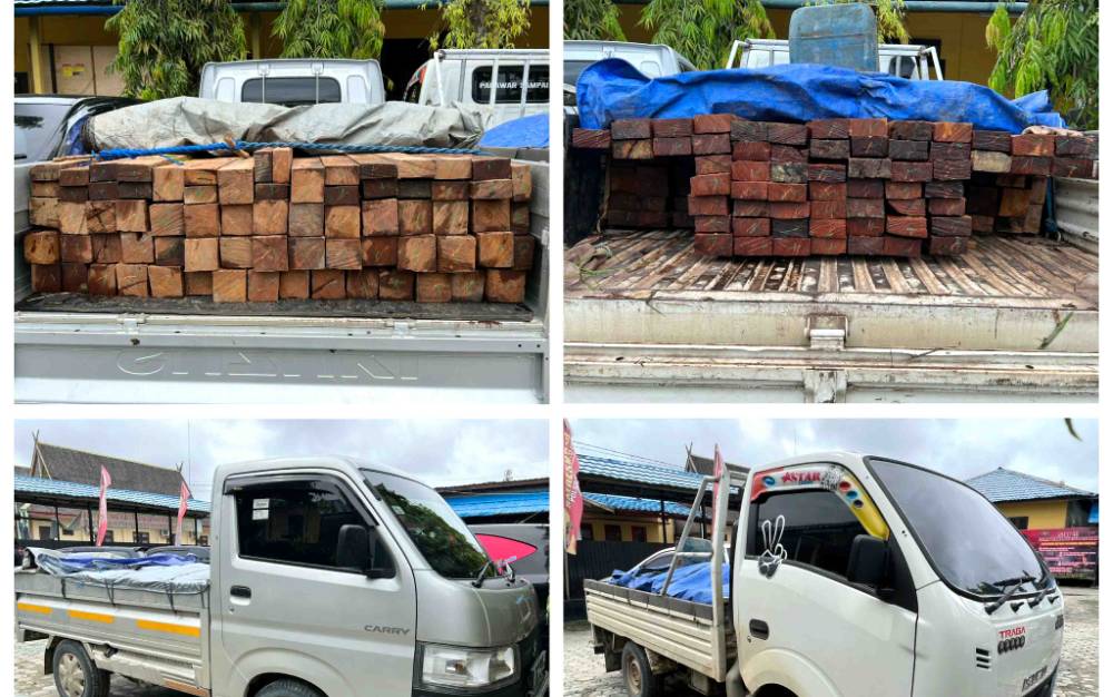 Polisi Tangkap 3 Pria Pembawa Kayu Ulin Ilegal di Barito Utara