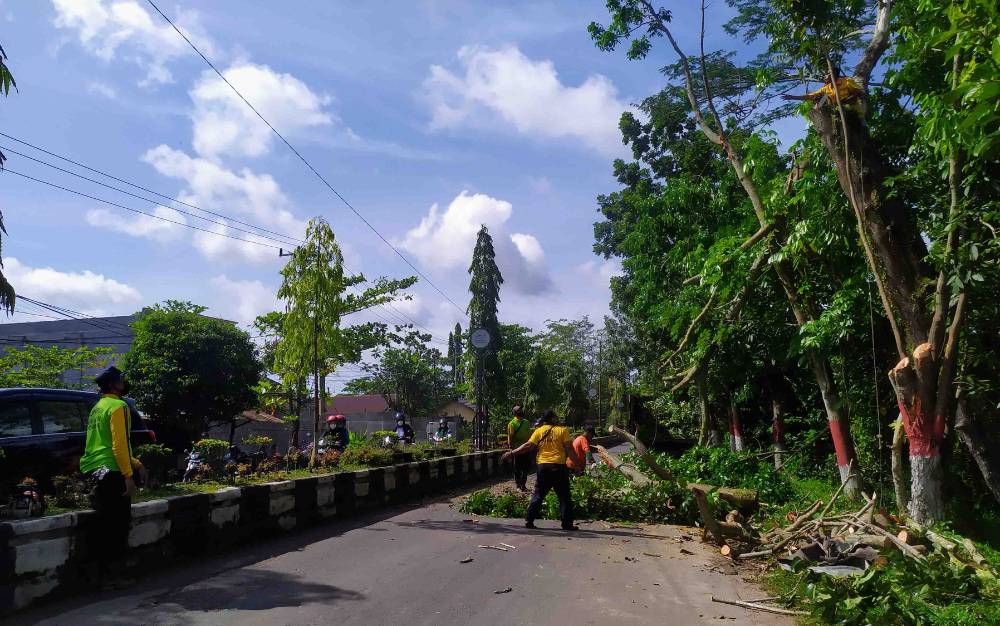 Petugas DPUPRPRKP Kotim Tebang Pohon Rawan Tumbang