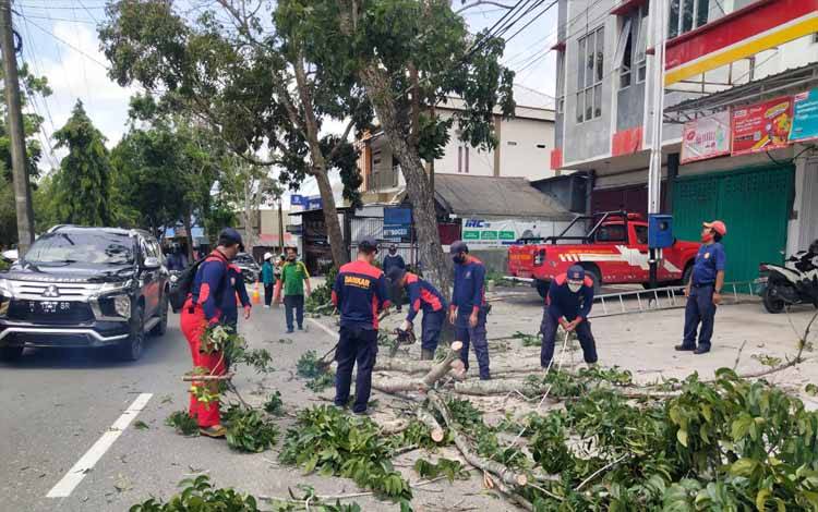 BMKG Ingatkan Waspada Cuaca Ekstrem di Wilayah Kobar
