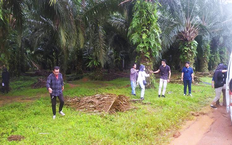 Konsumsi Minyak Sawit Dalam Negeri Capai 1,5 Juta Ton