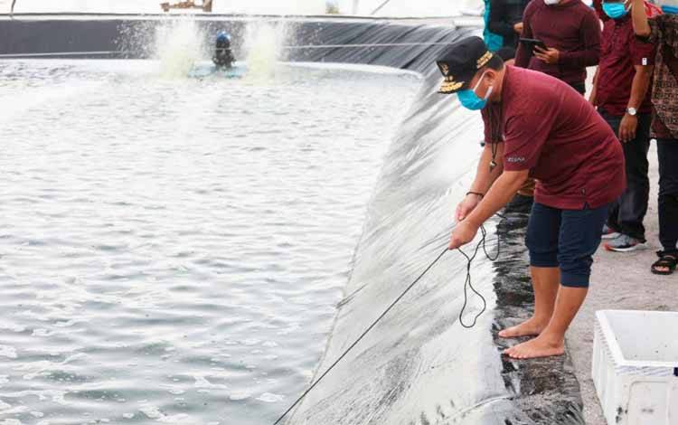 Shrimp Estate Kalteng Program Pengembangan Kawasan Terintegrasi