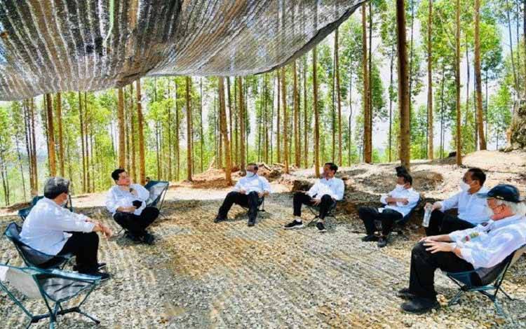Presiden Perkirakan Pembangunan IKN Nusantara Selesai 15-20 Tahun