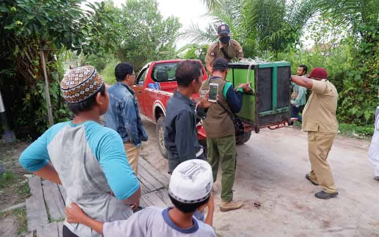 Bekantan Perusak Kebun akan Dilepasliarkan di Kobar