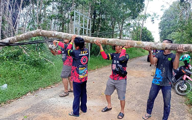 Relawan Matabu Jaya Singkirkan Pohon Tumbang di Jalan Rintis