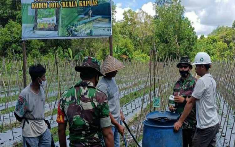 Kodim Kuala Kapuas Beri Penyuluhan Penerapan Pupuk Cair ke Kelompok Tani, Ini Tujuannya