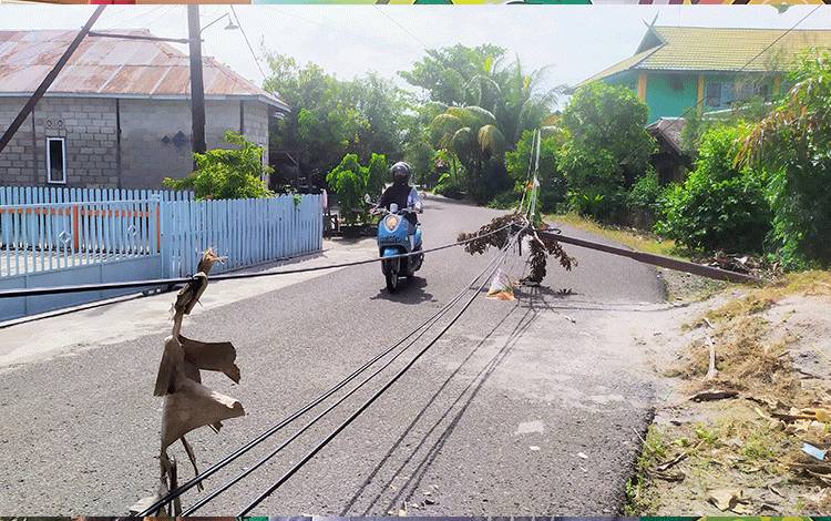 Sejumlah Tiang Kabel Telepon Tumbang Akibat Cuaca Ekstrem di Sampit