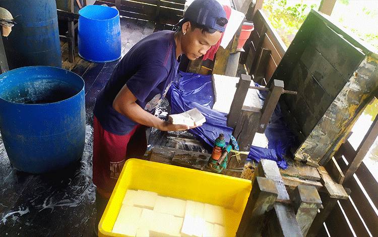 Harga Kedelai Naik Lagi, Pengelola Pabrik Tahu di Sampit Terpaksa Perkecil Ukuran