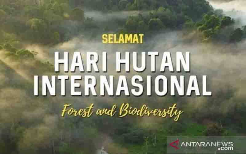 Hari Hutan, Pakar Dorong Pemakaian Produk Hutan Bersertifikat