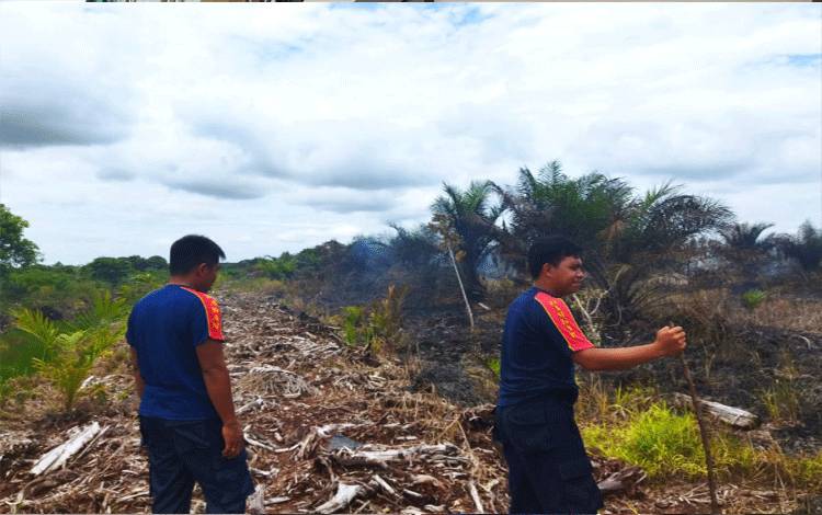 Petugas Kesulitan Padamkan Kebakaran Lahan antara Kasongan-Pendahara?