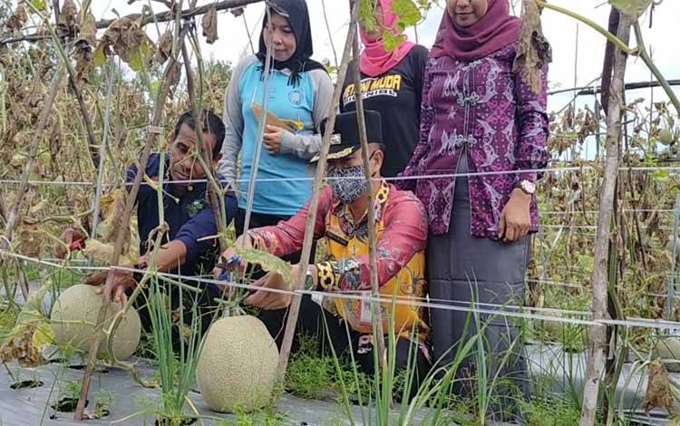 Tanam Melon di Lahan Setengah Hektare, Petani Ini Bisa Hasilkan Ratusan Juta