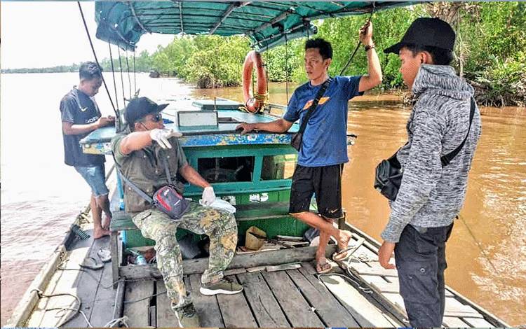 BKSDA Kesulitan Membuktikan Penyebab Kematian Buaya di Sungai Mentaya?