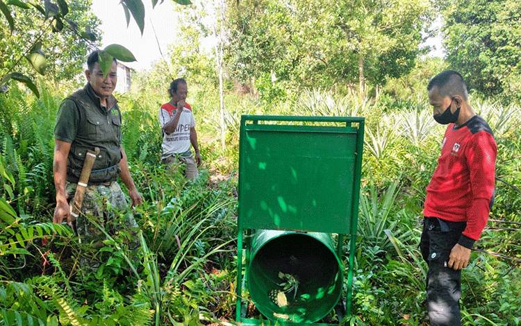 Memasuki Kemarau, Waspada Beruang-Beruang Mendekati Permukiman