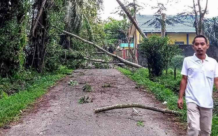 Awas! Kotim Masih Berpotensi Dilanda Angin Kencang