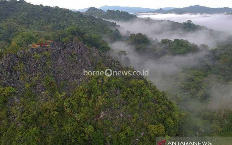 Bahlil Cabut 15 Izin Konsesi Kawasan Hutan