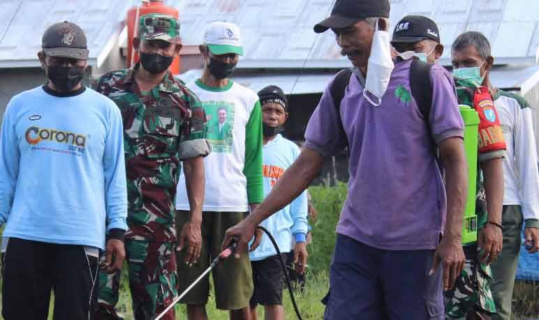 Kodim Palangka Raya Sosialisasi Penggunaan Pupuk Cair Lestari 102 di Kalampangan