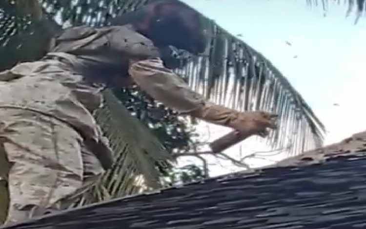 Petugas Damkar Katingan Disengat Tawon