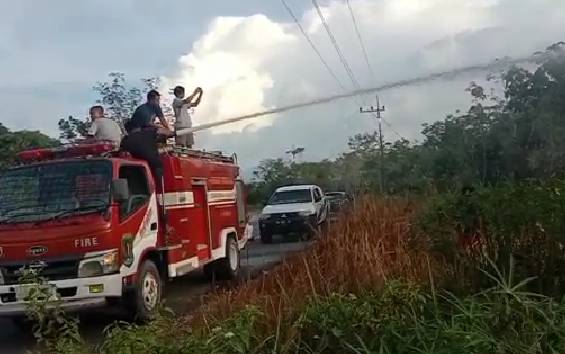 Kebakaran Lahan Hanguskan Kebun Karet di Katingan