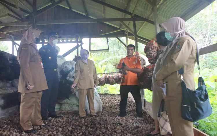 Pemprov Kalteng Dukung Ekspor Buah Pinang Kering Pelaku UMKM