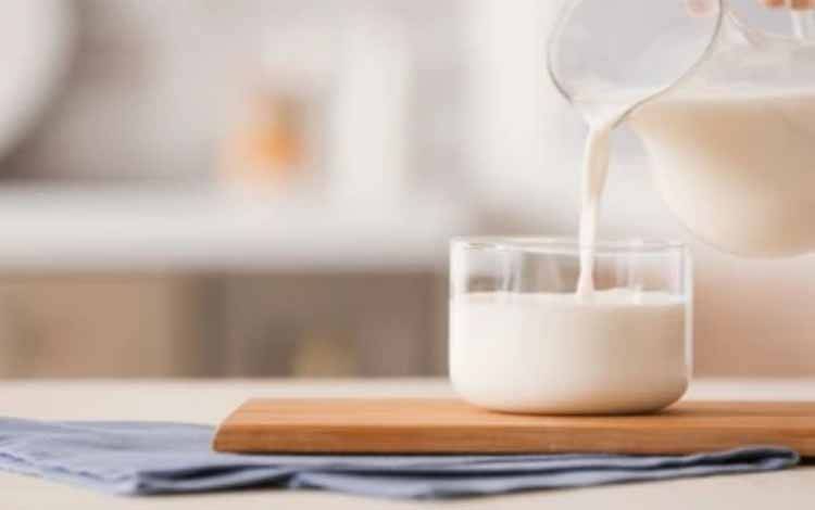 Ilustrasi susu