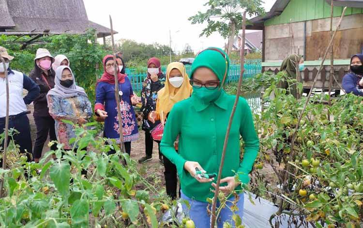 Ketua TP PKK Kalteng Ajak Masyarakat Kreatif Manfaatkan Lahan Pekarangan