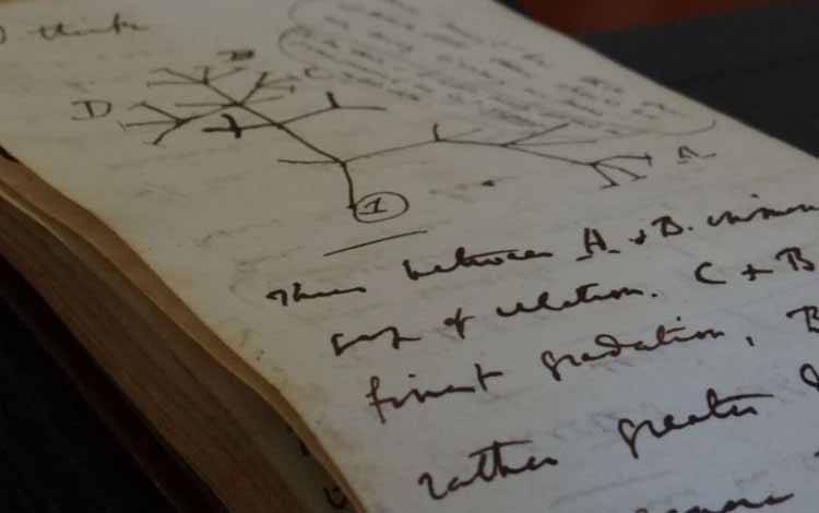 Tampilan salah satu lembar catatan dari buku "Tree of Life" yang ditulis oleh naturalis Charles Darwin