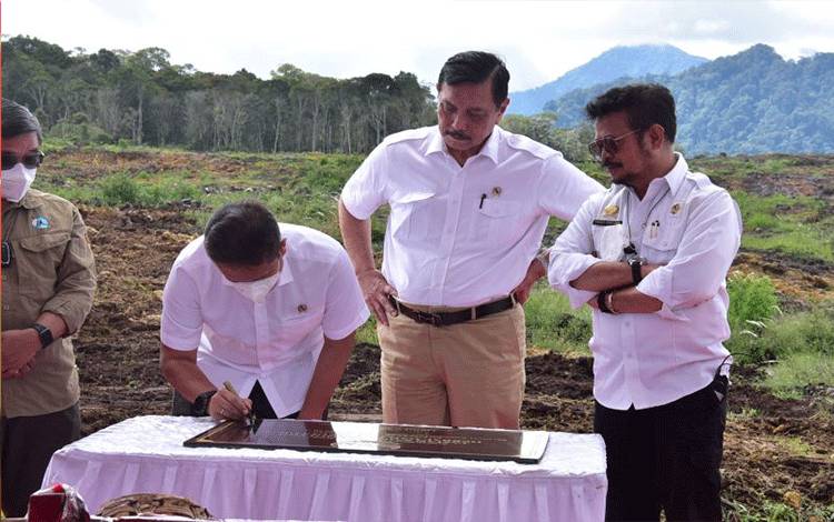 Peneliti: Perlu Reformasi Kebijakan Tingkatkan Investasi Pertanian