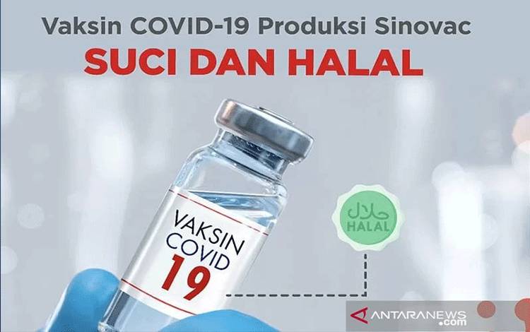 Partai Ummat Minta DPR Kawal Putusan Vaksin Halal