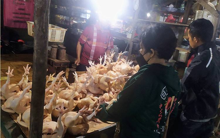 Menjelang Lebaran Harga Daging Ayam di Sampit Naik Terus