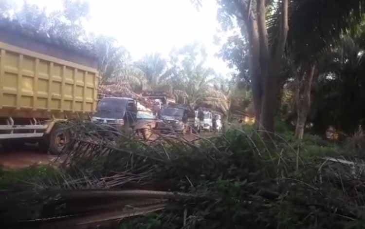 Antrean pengepul buah sawit di pabrik kelapa sawit