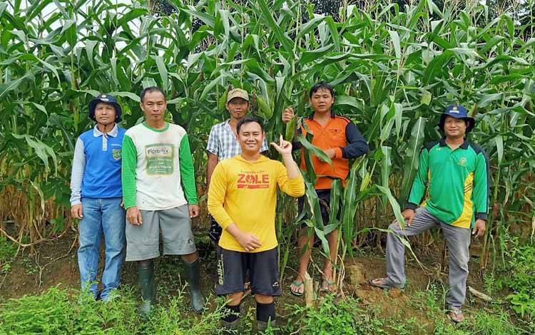 Mengenal Vinus, Sarjana yang Memimpin Kelompok Tani Milenial Ampari Jaya