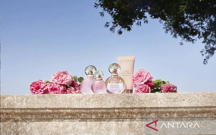 Bvlgari Perkenalkan Koleksi Parfum Rose Goldea Blossom Delight
