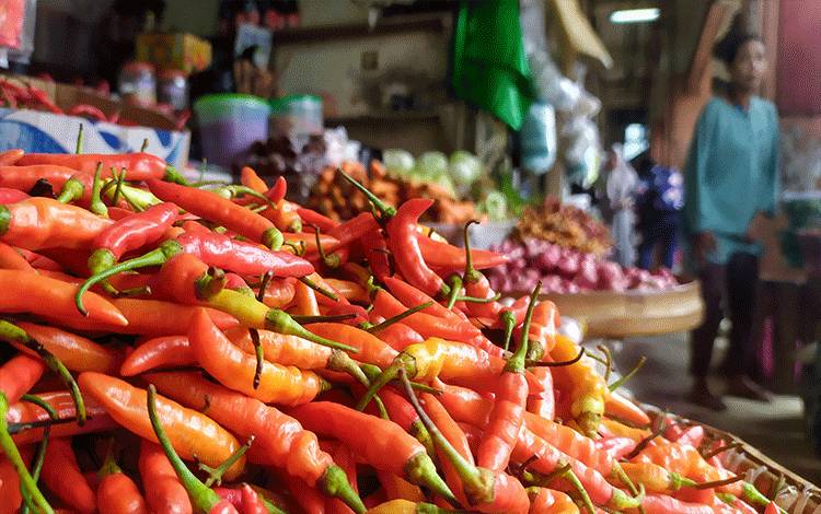Harga Cabai Rawit Merah Turun